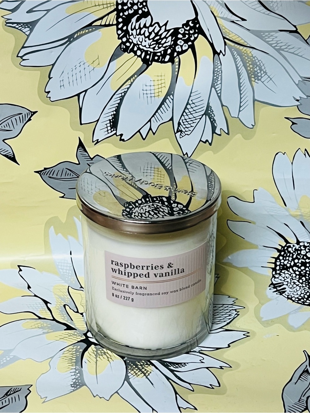 Bath & Body Works Raspberries & Whipped Vanilla Single Wick Candle 7oz - New